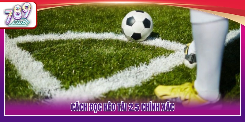 Kèo Tài 2.5 – Cách Đọc Và Áp Dụng Hiệu Quả Tại 789Club 3 Hướng dẫn cách đọc kèo tài 2.5 tại 789Club